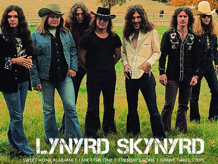 2LP - Lynyrd Skynyrd - Icon For Cheap