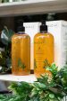 Natural Body Wash - Copaiba Infused Discount